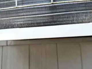 carmeliaryba teen cam babe wants to be fucked online as hard as possible